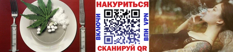 купить  цена  Катайск  Cannafood конопля 