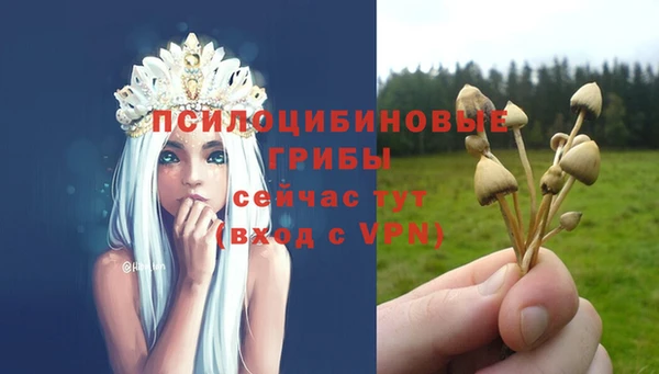 героин Абаза