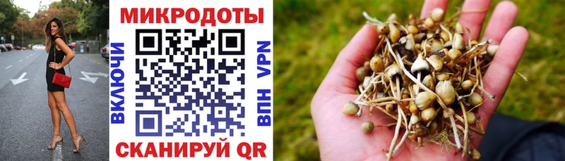 ОМГ ОМГ ONION  Катайск  Галлюциногенные грибы Psilocybe 
